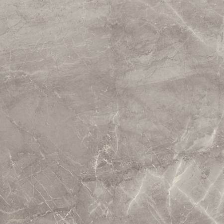 Majestic Supreme Gray 24" x 24" Matt Porcelain Tile