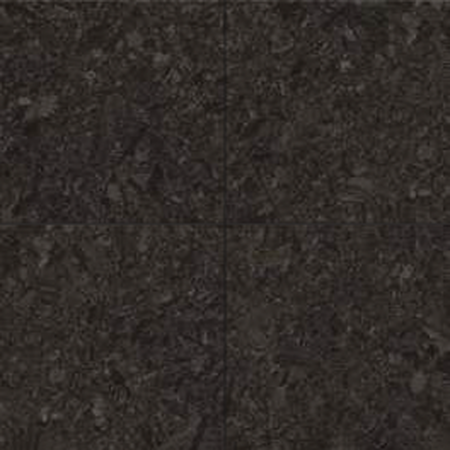 Versace Italian Antique Brown Nero Porcelain Tile 23" x 23", Meteorite