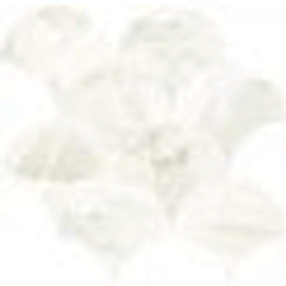 (attributeValue.ImageSquaresPictureModel.ImageUrl)