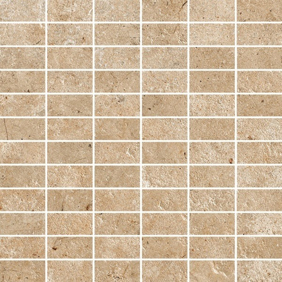 (attributeValue.ImageSquaresPictureModel.ImageUrl)