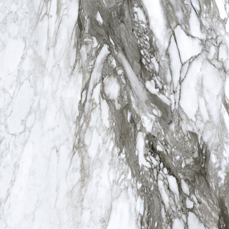 Roberto Cavalli Lush 24"x24" Calacatta Renoir Lux.Rett