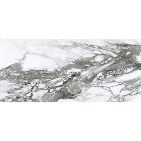 Roberto Cavalli Lush 24" x 48" Calacatta Renoir Lux.Rett