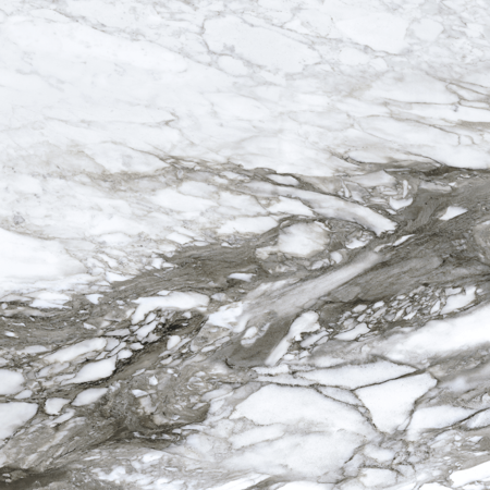 Roberto Cavalli Lush 48"x48" Calacatta Renoir Lux.Rett