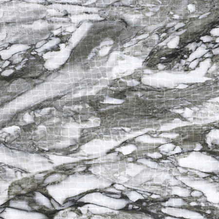 Roberto Cavalli Lush 8"x8" Calacatta Renoir Animalier Rett