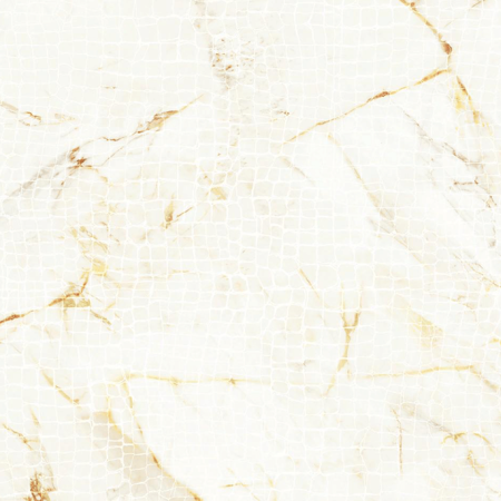 Roberto Cavalli Lush 8"x 8" Calacatta Oro Animalier Rett