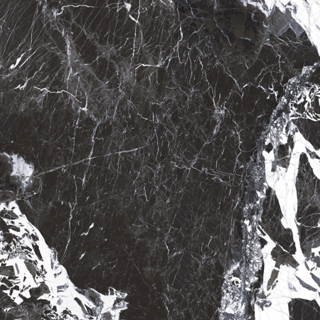 Roberto Cavalli Lush 48"x48" Noir Antique Lux.Rett