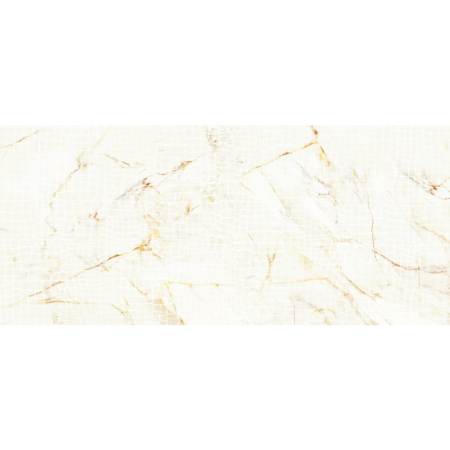 Roberto Cavalli Lush 24"x48" Calacatta Oro Animalier