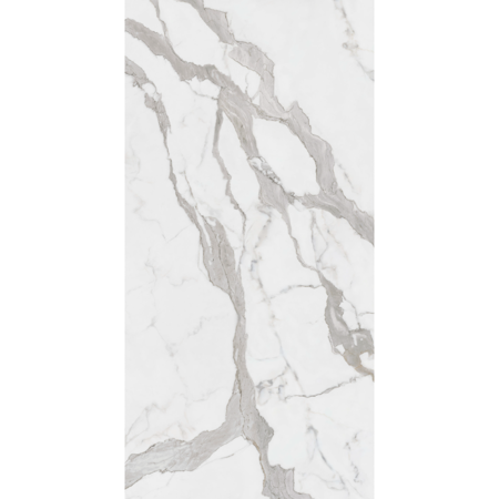 Maestro Bernini Classico Honed 60'' x 60'' Porcelain Tile