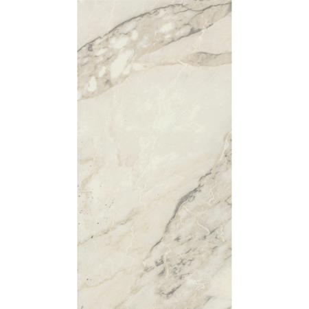 Carrara Arabescato Matte 24'' x 48'' Porcelain Tile