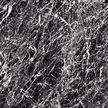 Majestic Glam Black 12" x 24" Polished Porcelain Tile