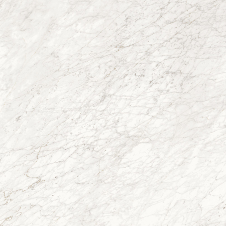 Majestic Apuanian White 12" x 24" Polished Porcelain Tile
