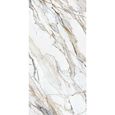 Large Format Spanish Slab Calacatta Paonazzo 63”x126” 1/2" Polished