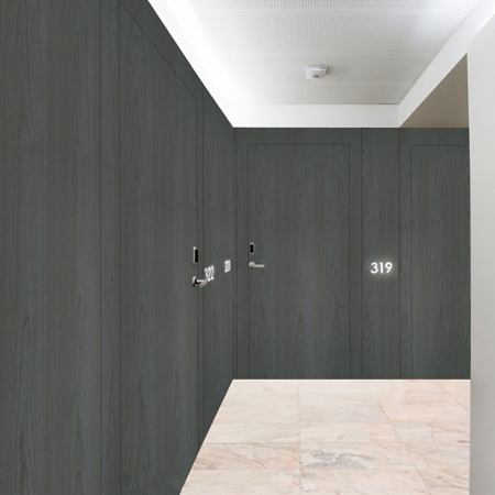 30 Minute Fire and 39 DB V1 Acoustic Portaro Inverse Door