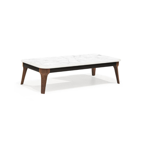 Coffee Table V225