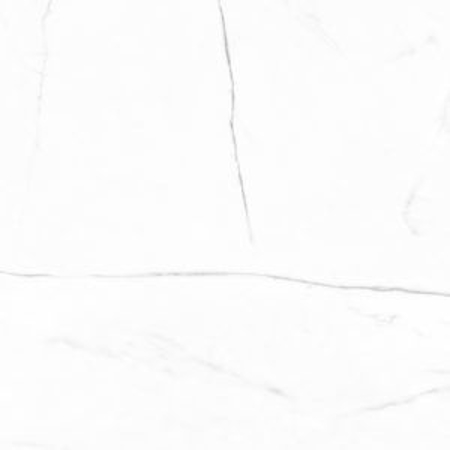 Vivid White Calacatta Pullido 35.22" x 35.22" Porcelain Tile