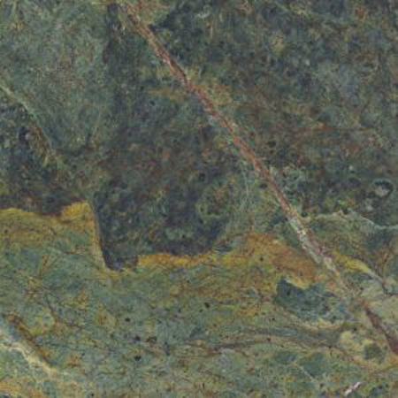 Vivid Green Rainforest Pulido 35.22" x 35.22" Porcelain Tile