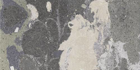 Lithops Lipan Stamp Outdoor 2CM 19,59”x39,19” Porcelain TIle