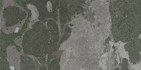 Lithops Hopi Stam Outdoor 2CM 19,59”x39,19”Porcelain TIle