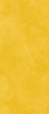 Korium Yellow Logo 48"x110" Porcelain Tile