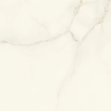 Marvel X Calacatta Apuano Polished Rectified 24" x 24"