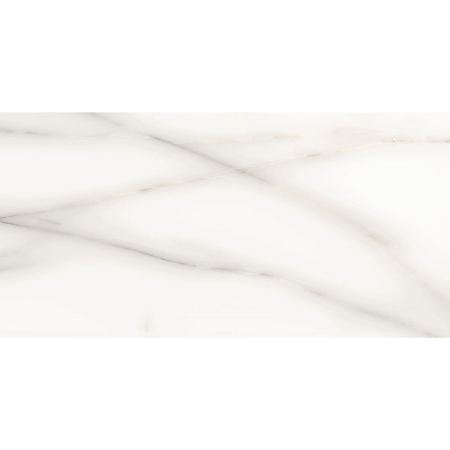Onix White 24" x 48" Natural Glossy Porcelain Tile