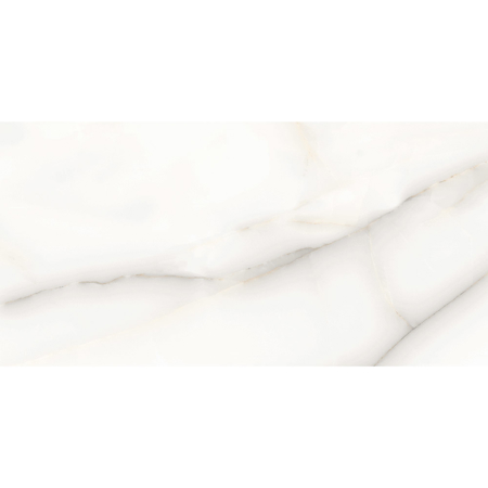 Onix White 24" X 48" Matt Porcelain Tile