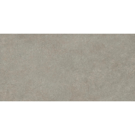 Boost Mineral Gray Outdoor Rectified 24" x 48"