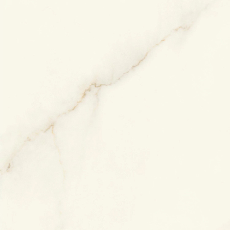 Marvel X Calacatta Apuano Matt Rectified 24" x 24"