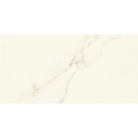 Marvel X Calacatta Apuano Matt Rectified 24" x 48"