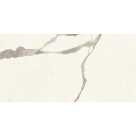 Marvel X Calacatta Sublime Matt Rectified 24" x 48"