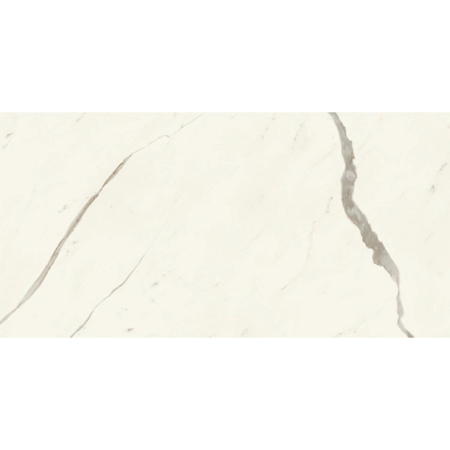 Marvel X Calacatta Sublime Polished Rectified 24" x 48"