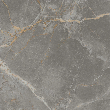 Marvel X Fior di Bosco Polished Rectified 24" x 24"