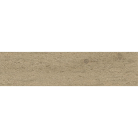 Entice Pale Ash Oak Natural Outdoor Rectified 12" x 48"