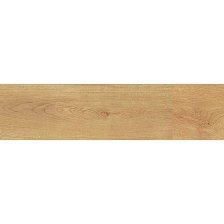 Exence Almond Matt Rectified 8" x 48"