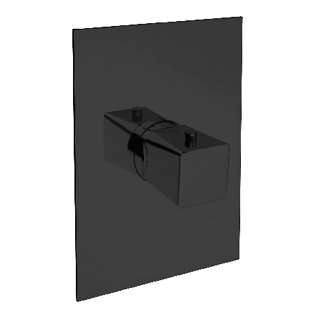 3/4" Thermostatic Valve Trim