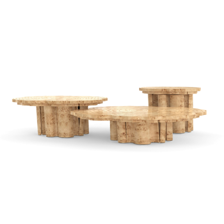FORTUNA POPLAR ROOT SET OF 3 CENTER TABLE