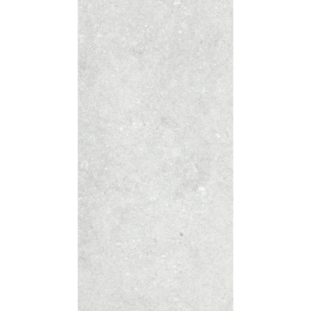 Italian Porcelain Tile Le Reverse Opal Elegance 24" x 48" 3/8" Honed