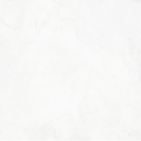 Raffaello Bianco 24”x 48” Polished Rectified