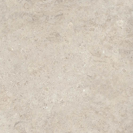 Coralstone Calcite 24”x 48” Matt Rectified Outdoor