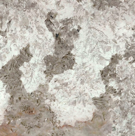 Patagonia Grey Polished 46.97"x46.97" Porcelain Tile