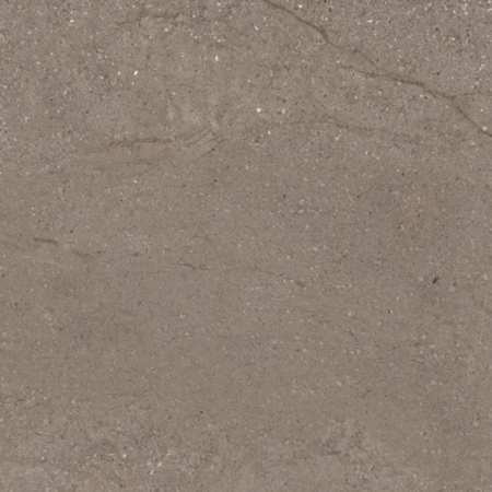 Victoria Turtledove 40”x40” 5/16" Porcelain Tile