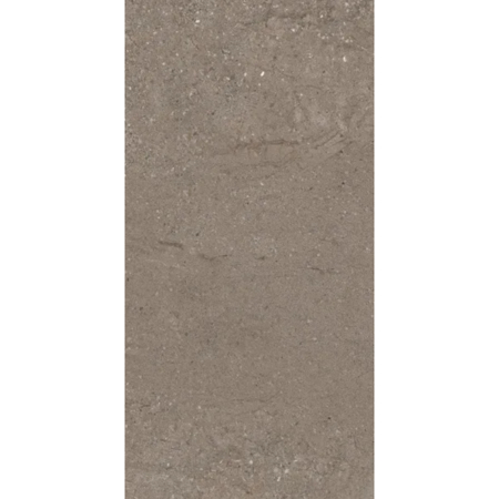 Victoria Turtledove 24”x48” 5/16" Porcelain Tile