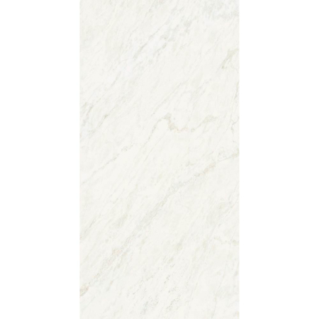 Italian Large Format Slab Rhyno 60" x 120" 1/4" Natural